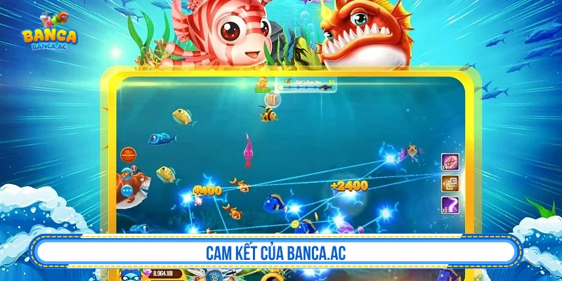 Vai trò của Banca.ac trong việc khuyến khích chơi có trách nhiệm