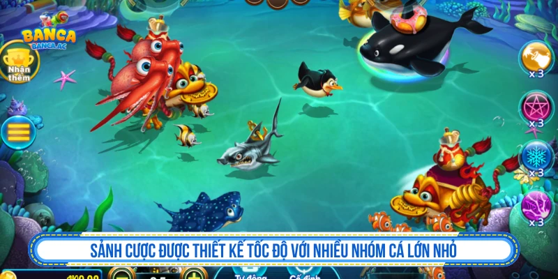Sảnh bắn cá B52 với nhiều nhóm cá lớn nhỏ